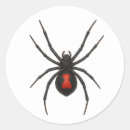 Pesquisar por aranha da viúva negra adesivos Para todos