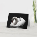 Pesquisar por swan cartoes White