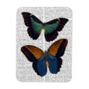 Pesquisar por mosca imas Animais