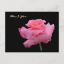 Pesquisar por 365 cartoes Rosa