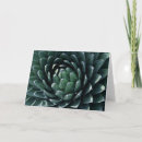 Pesquisar por plantas de deserto cartoes Flor