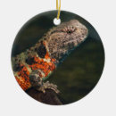 Pesquisar por risco ornamentos Laranja