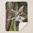 Pesquisar por pegasus mantas Pegasi