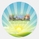 Pesquisar por doge adesivos Pomada