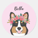 Pesquisar por tricolor adesivos Autocolante de corgi