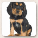 Pesquisar por cão do rottweiler porta copos Canino