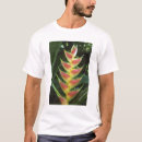 Pesquisar por heliconia camisetas Laranja
