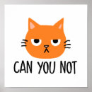 Pesquisar por gatos engraçados pósteres Gato engraçado
