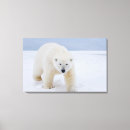 Pesquisar por polar impressão de canvas Neve