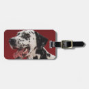 Pesquisar por veterinário bagagem tags Empresa de pequeno porte