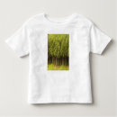 Pesquisar por cedro camisetas Floresta