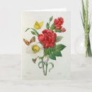 Pesquisar por redoute cartoes Rose