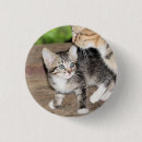 Pesquisar por gatinho botons Mãe