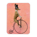 Pesquisar por bike imas Cachorro verde roxo