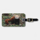 Pesquisar por urso panda bagagem tags Porcelana
