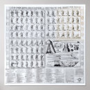 Pesquisar por posturas pôsteres pósteres Impressão