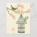Pesquisar por birds cartoes postais Flor
