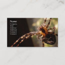 Pesquisar por aranhas cartao de visita Profissional