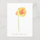 Pesquisar por poppy cartoes postais Floral