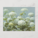 Pesquisar por hydrangea cartoes postais Primavera