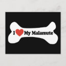 Pesquisar por malamute Amante de cachorro