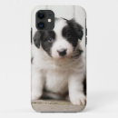 Pesquisar por de border collie iphone capas Filhote de cachorro