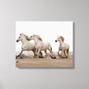Pesquisar por cavalo selvagem impressão de canvas Areia