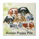 Pesquisar por filhotes de cachorro azulejos Cães
