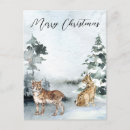 Pesquisar por lince cartoes postais Neve