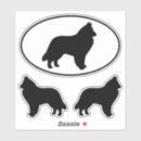 Pesquisar por belga Sheepdog belga