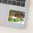 Pesquisar por cigarra adesivos Entomologia