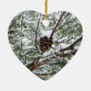 Pesquisar por pine cone ornamentos Qualquer pessoa