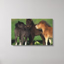 Pesquisar por potros impressão de canvas Langra de bolhas