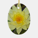Pesquisar por flor de lótus ornamentos Jardim
