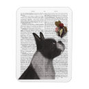 Pesquisar por ímãs de boston imas Animais de estimação