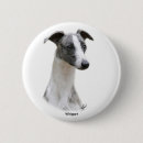 Pesquisar por canino botons Foto