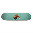 Pesquisar por coruja skates Animais