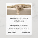 Pesquisar por gatos flyers Cuidados de estimação