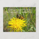 Pesquisar por dandelion cartoes postais Flor de dandelion amarelo