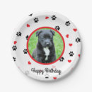 Pesquisar por animal estimação pratos Para pets