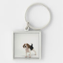 Pesquisar por amizade animal chaveiros Fotografia