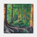 Pesquisar por landscape imas Forest