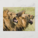 Pesquisar por raiva cartoes postais Horizontal