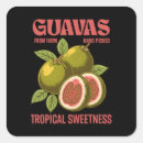 Pesquisar por frutas exóticas adesivos Para todos