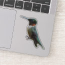 Pesquisar por aves adesivos Fotografia