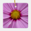 Pesquisar por cosmos ornamentos Rosa