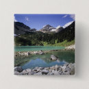 Pesquisar por reflexo botons Lago