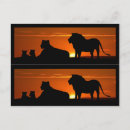 Pesquisar por leão africano cartoes postais Pôr do sol
