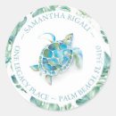 Pesquisar por turtle adesivos Aquarela