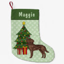 Pesquisar por labrador retriever de natal meias de natal Laboratório de chocolate